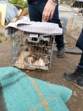 Rettung aus einem Horror-Shelter
