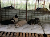 Rettung aus einem Horror-Shelter