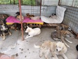 Rettung aus einem Horror-Shelter