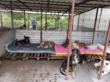 Rettung aus einem Horror-Shelter