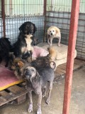 Rettung aus einem Horror-Shelter