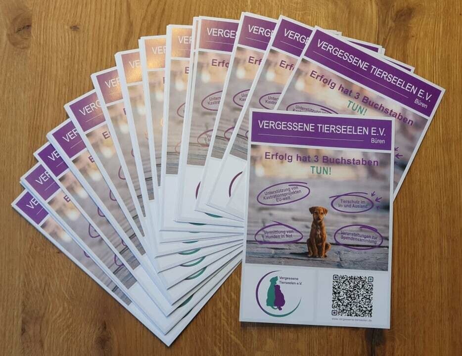 Neue Flyer